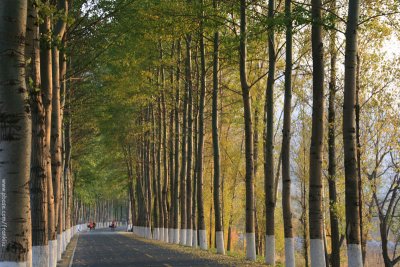 Country road