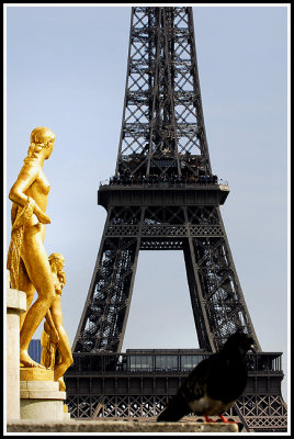 g5/14/560114/3/100169109.JJui7PcN.jpg