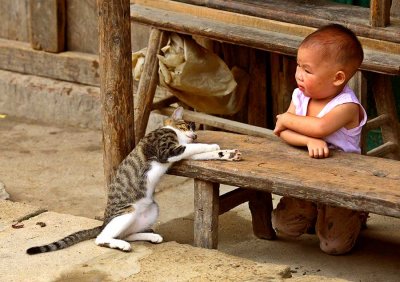 ** the cat and the child **