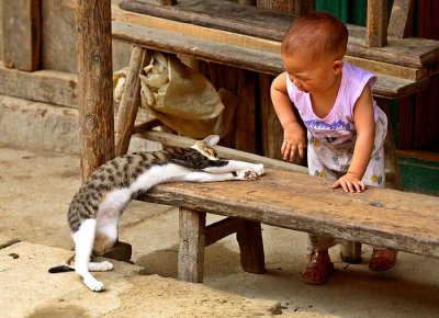 ** the cat and the child **