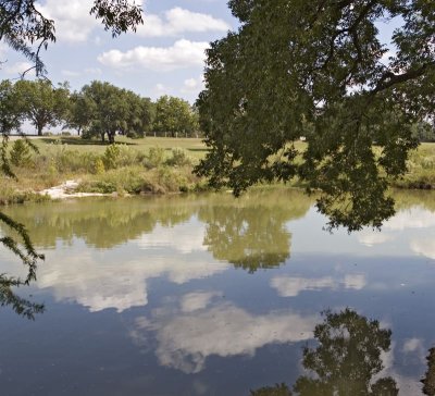 Reflection outside Austin