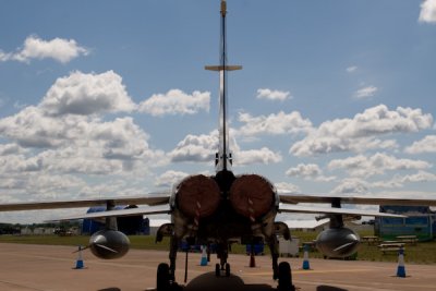 IMG_4978.jpg