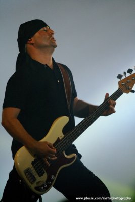Tarja