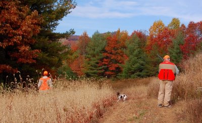 Primland Bird Hunting
