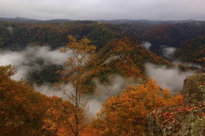 Morning fog around the Pinnacles of Dan in Kibler Valley