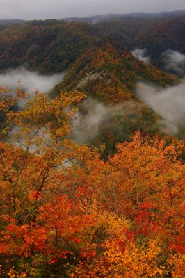 Fall of the year from Primland  