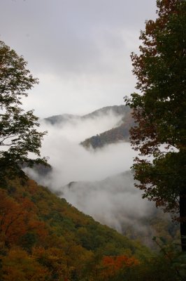 Rising Fog in Kibler Valley from Primland