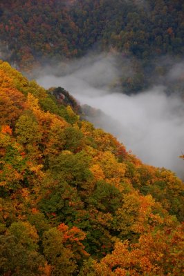 Fog deep in Kibler Valley at Primland