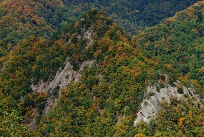 Pinnacles of Dan in Kibler Valley from Cliffs at Primland