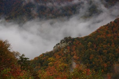 Valley Fog from Primland