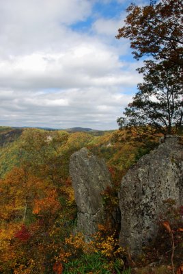 Fall colors around rock out cropping at Primland in the Fall