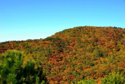 Leaves at there peak in the Fall at Primland is awesome!!!!!