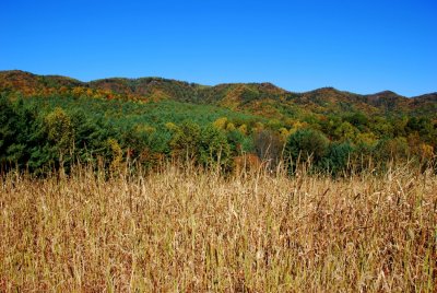 Primland's Mountains from the Upland Birding Fields