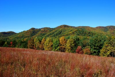 Primland Mountains in the Fall