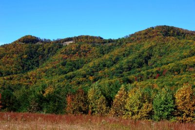 Primland Nature Fall Colors