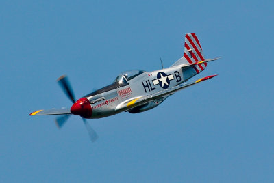 P-51 American Beauty in a Dive