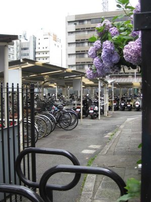 Kyoto