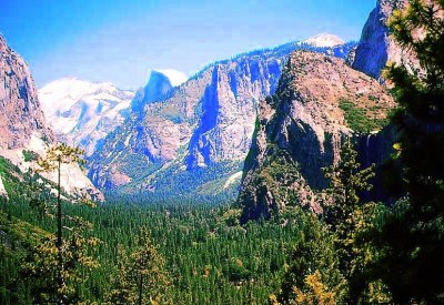 Half Dome Vista