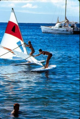 Maui Windsurfers