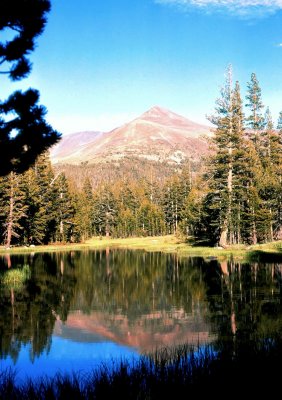 Moran Point Reflections