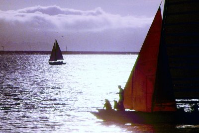 San Francisco Bay Sailing