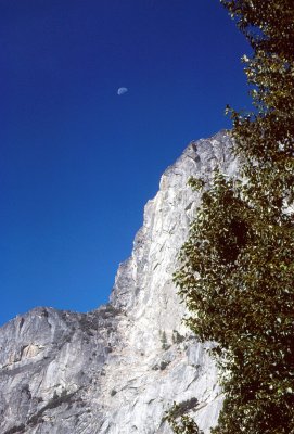 Yosemite Moon In The Morning
