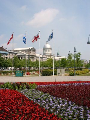Montreal Community Flower Beds