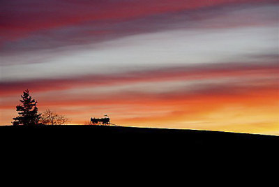 Wagon Hill Sunset.jpg