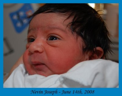 neVin2.jpg