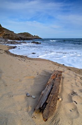 Driftwood