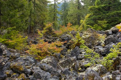 Near Proxy Falls