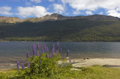 Lago Alto