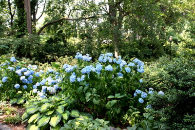Fort Tryon Park