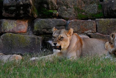 DSC_2364w.jpg