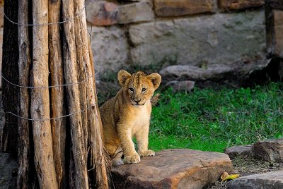 DSC_2372w.jpg
