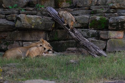 DSC_2381.jpg