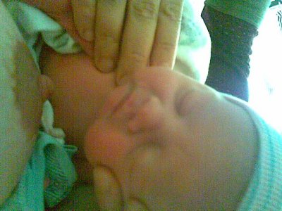 7/15/08 - a few hours old