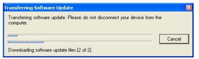 transfer 2.jpg