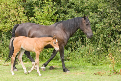River 6 weeks-17.jpg