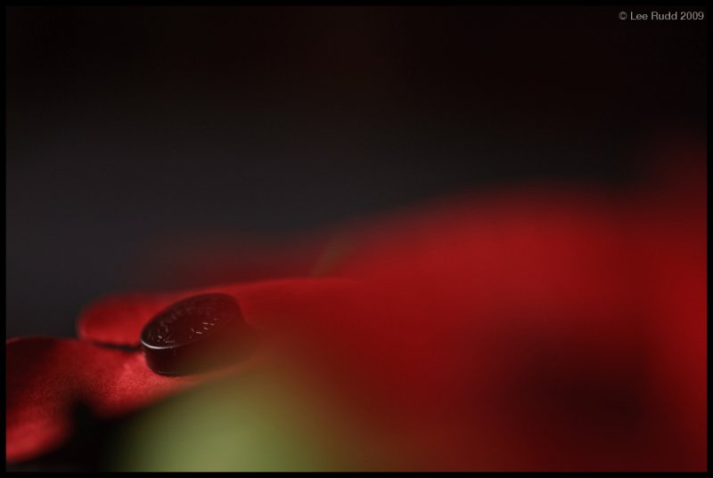Sorrow