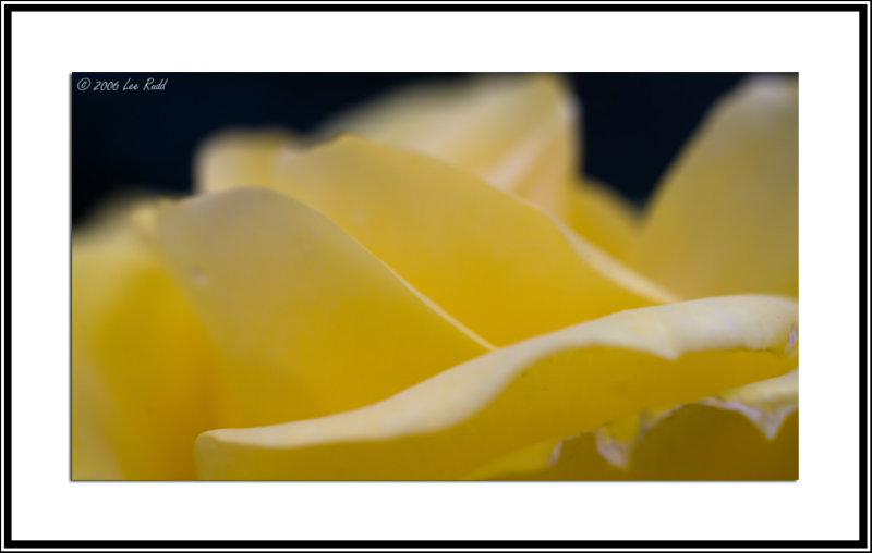 Tattered Edges