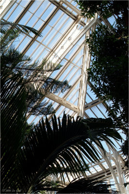 Temperate House detail
