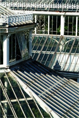 Temperate House RoofScape
