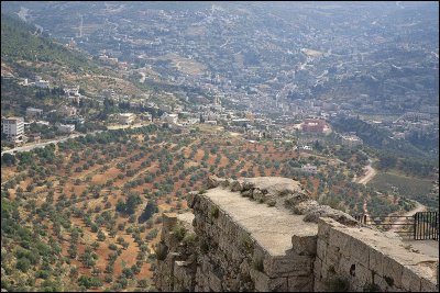 view from Ajloun Castle