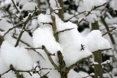 IMG_9652.jpg