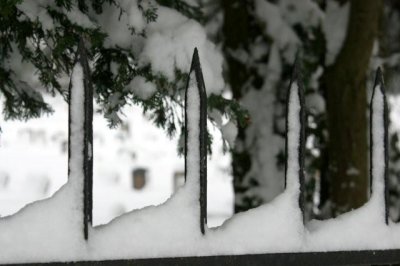 Snow February 2009