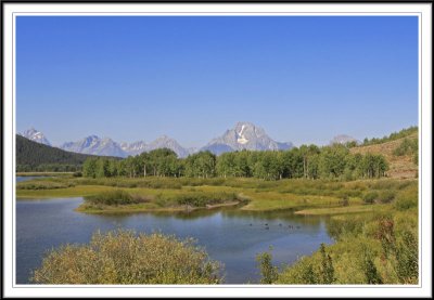 Oxbow Bend and Canadian Geese