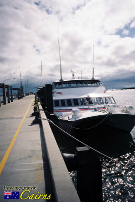 F1080013 copy.jpg