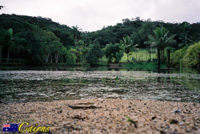 F1110019 copy.jpg