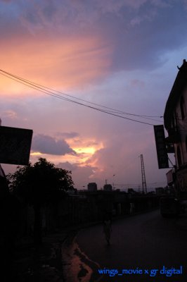 _1018847.jpg